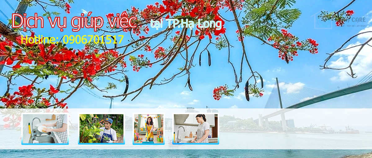 Luna care - Chăm sóc người bệnh, giúp vệc tại nhà, tu sửa nhà, vệ sinh máy lạnh